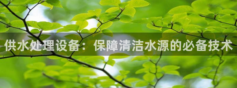 qy球友会体育官方平台