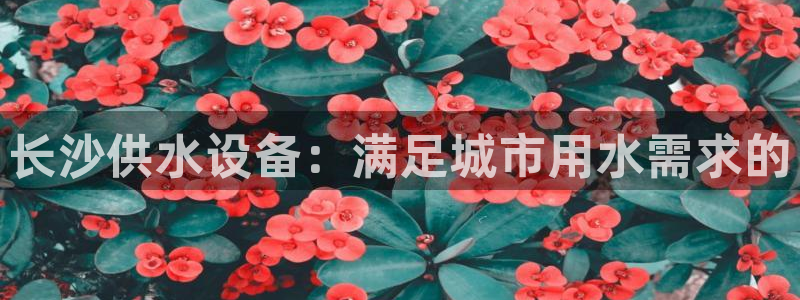 球友会能提现吗