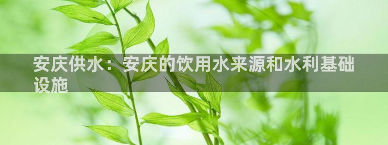 球友会体育app官方版下载安装苹果